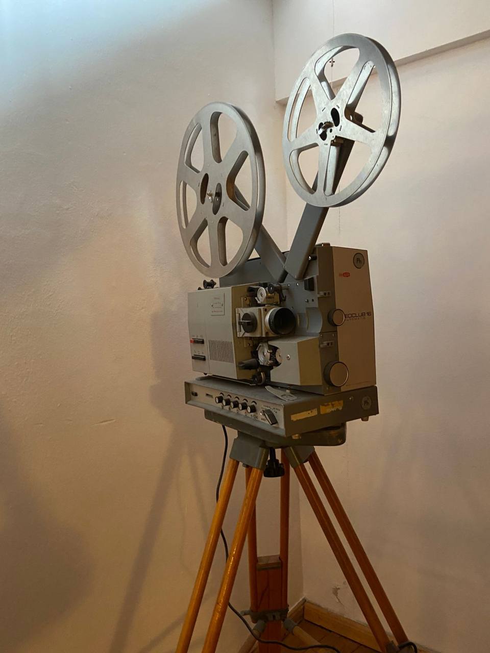 Kosmatisches Kinomatinée in Rostock: ukrainisches Kino, Musik und Genuss